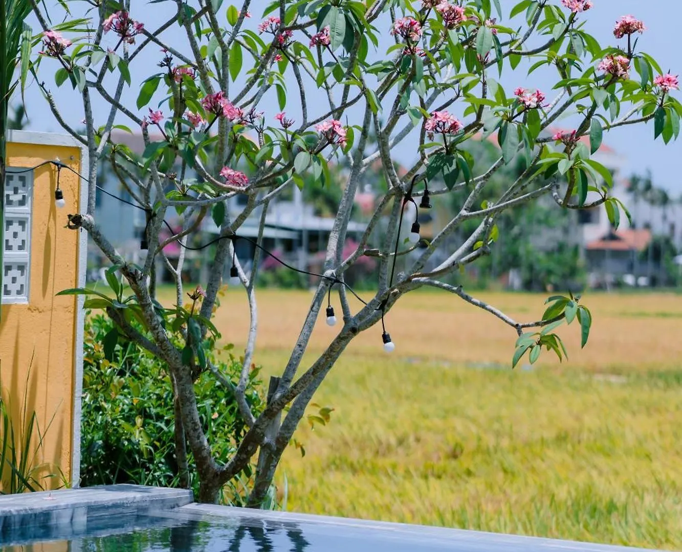 Bs Jade Home Hoi An