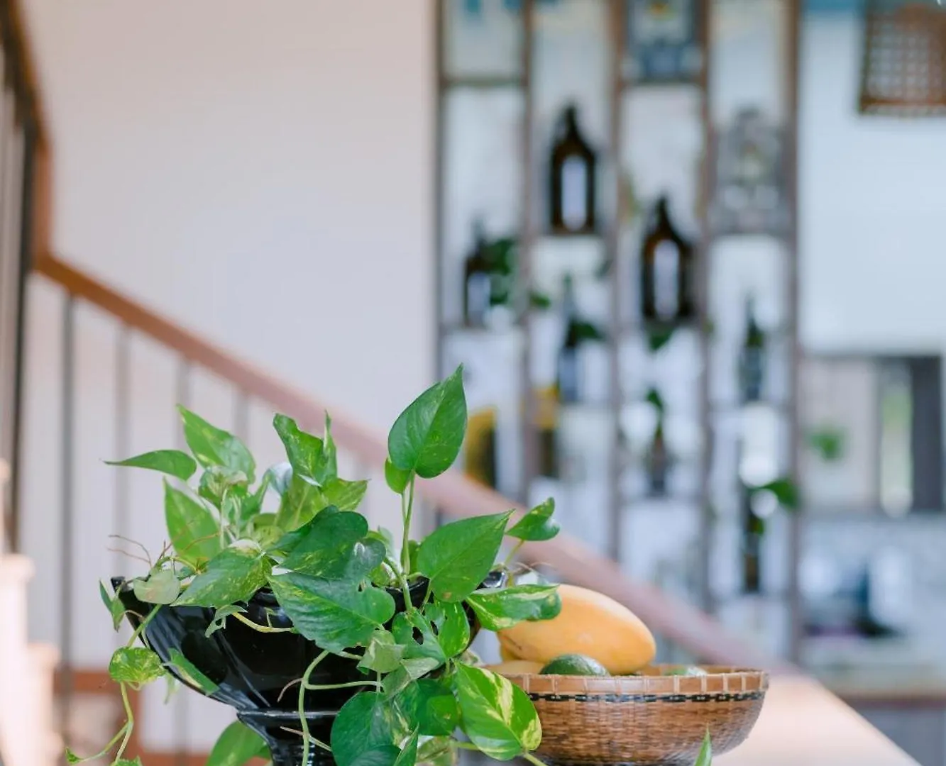 Hotel Bs Jade Home Hoi An